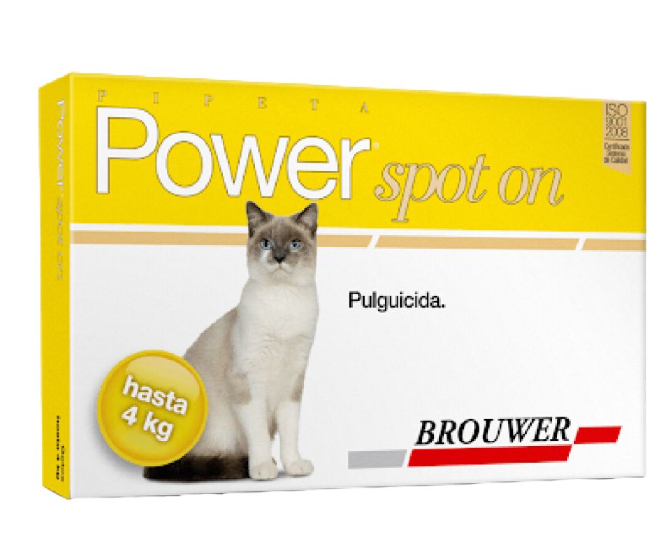 Power Ultra Gatos 2-4kg