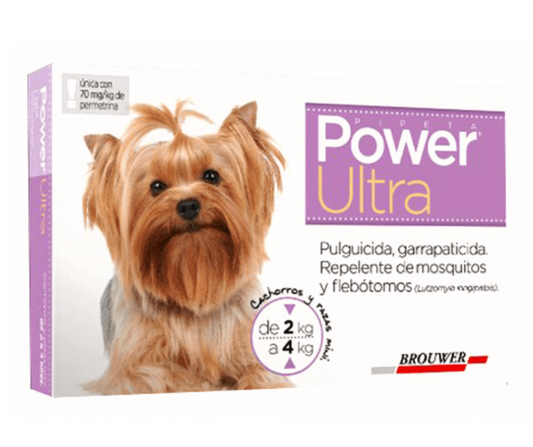 Power Ultra 2-4kg