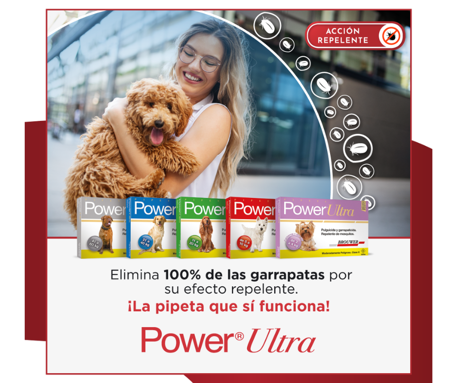 Power Ultra 2-4kg