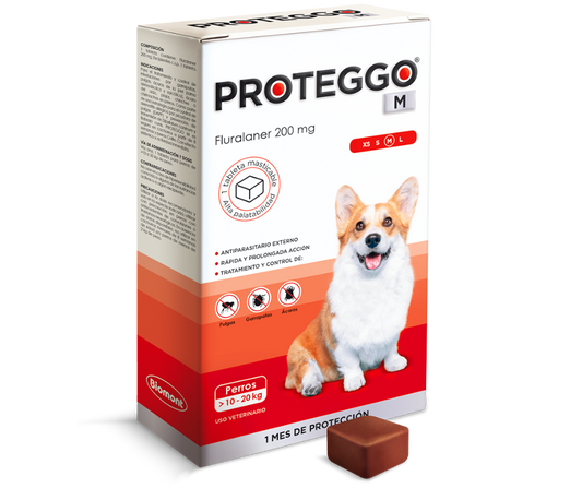 PROTEGGO 1 MES (10 A 20 KG)